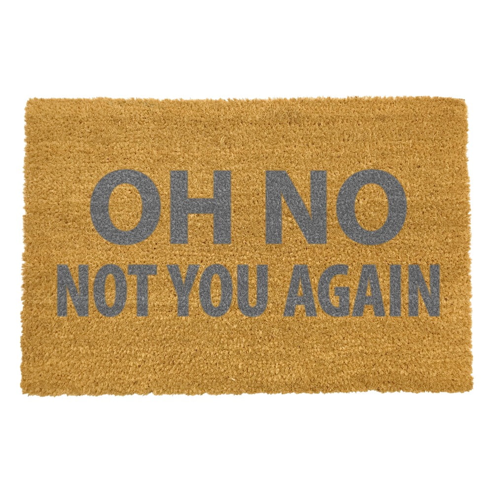 Obrázok Rohožka Artsy Doormats Oh No Not You Again Grey, 40 × 60 cm