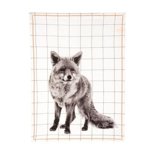 Kuchynská utierka Grid Fox, 50x70 cm