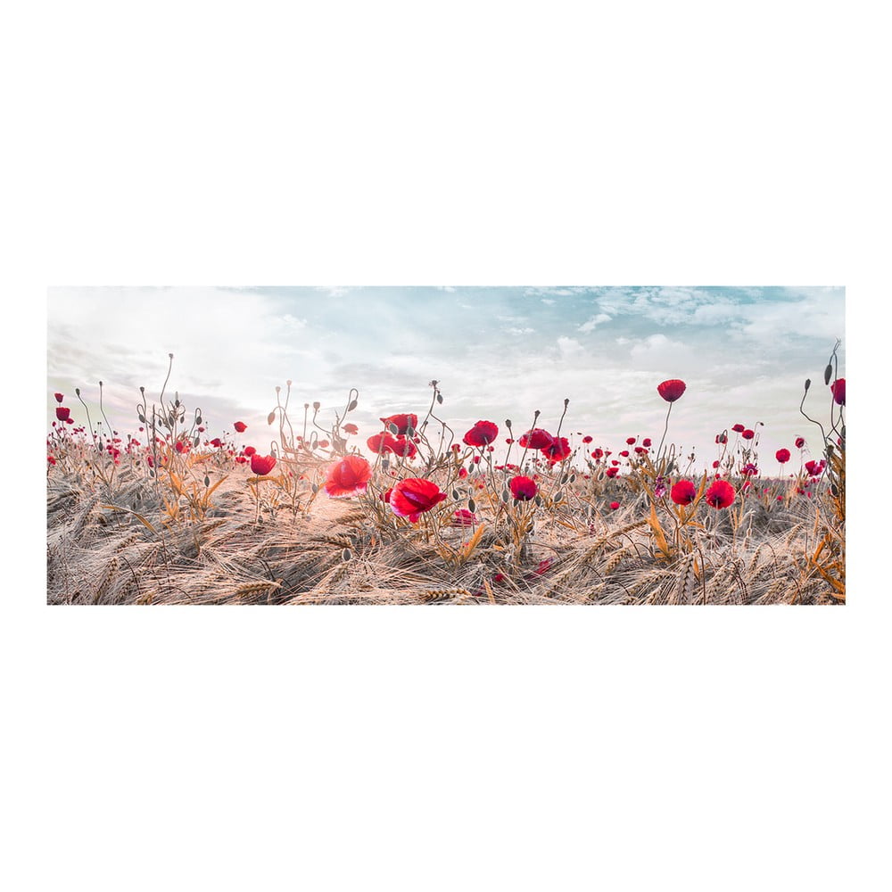 E-shop Obraz na plátne Styler Poppies, 60 x 150 cm