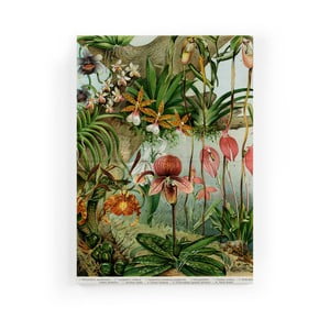 Obraz na plátne Surdic Jungle Flowers, 50 × 70 cm