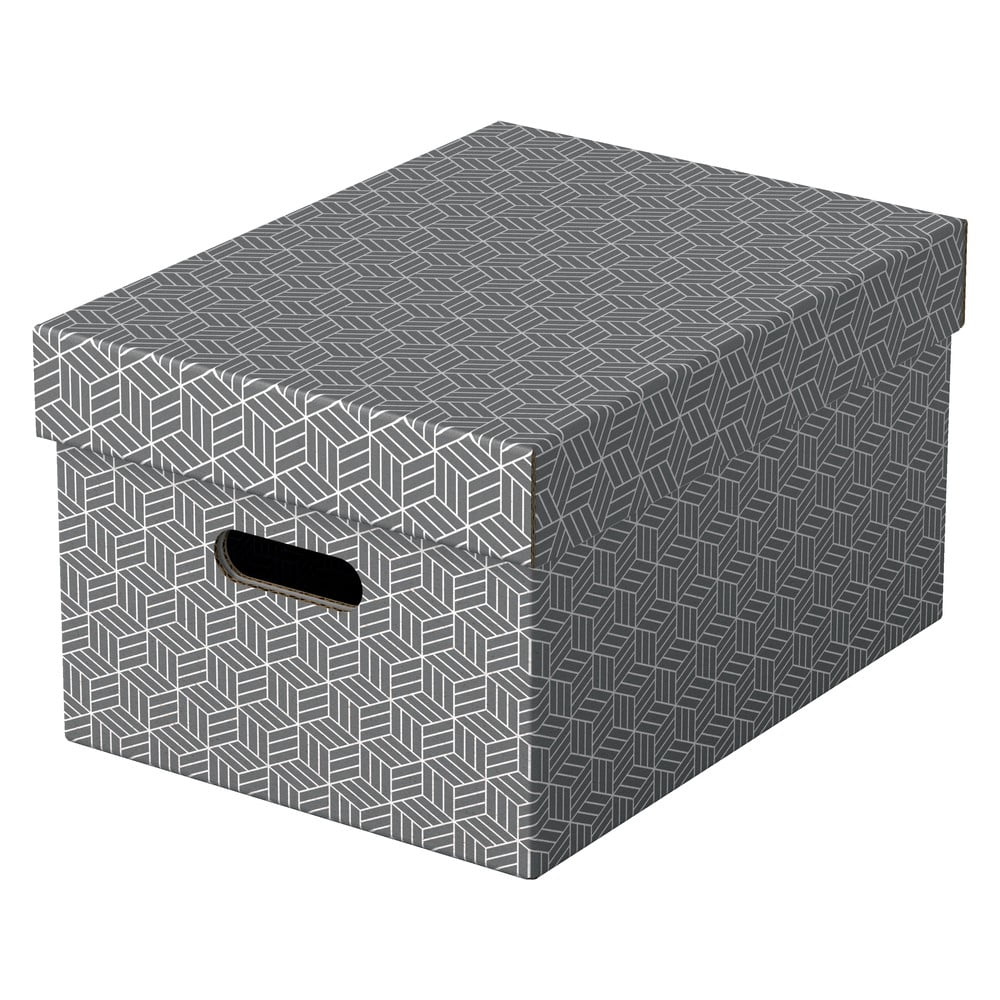 E-shop Súprava 3 sivých úložných škatúľ Esselte Home, 26,5 x 36,5 cm
