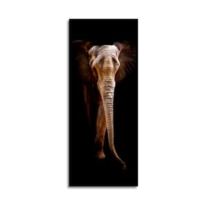 Obraz Styler Elephant, 125 x 50 cm