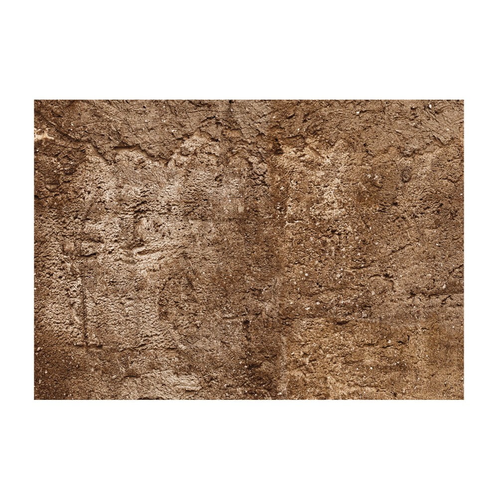 E-shop Veľkoformátová tapeta Artgeist Cave of Time, 400 x 280 cm