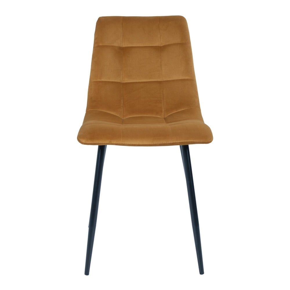 E-shop Súprava 2 jedálenských stoličiek s horčicovožltým poťahom zo zamatu House Nordic Middelfart