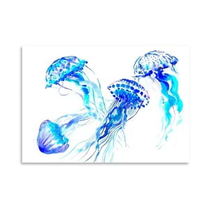Plagát Jellyfish