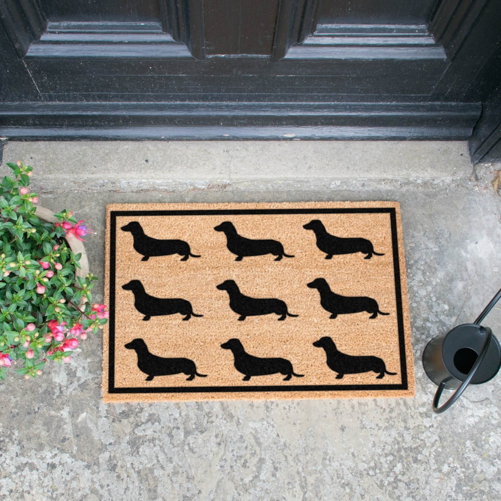 Obrázok Rohožka Artsy Doormats Dachshund, 40 × 60 cm