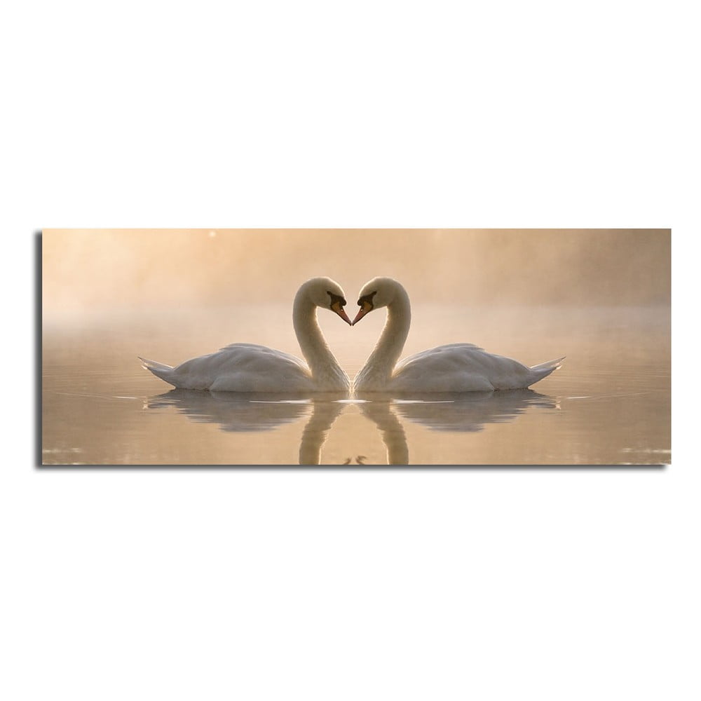 Obrázok Obraz na plátne Swan Love, 90 × 30 cm