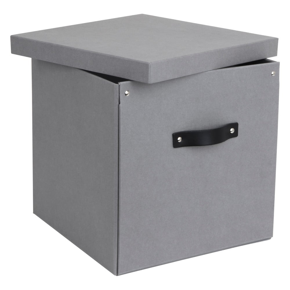 E-shop Svetlosivá úložná škatuľa Bigso Box of Sweden Logan