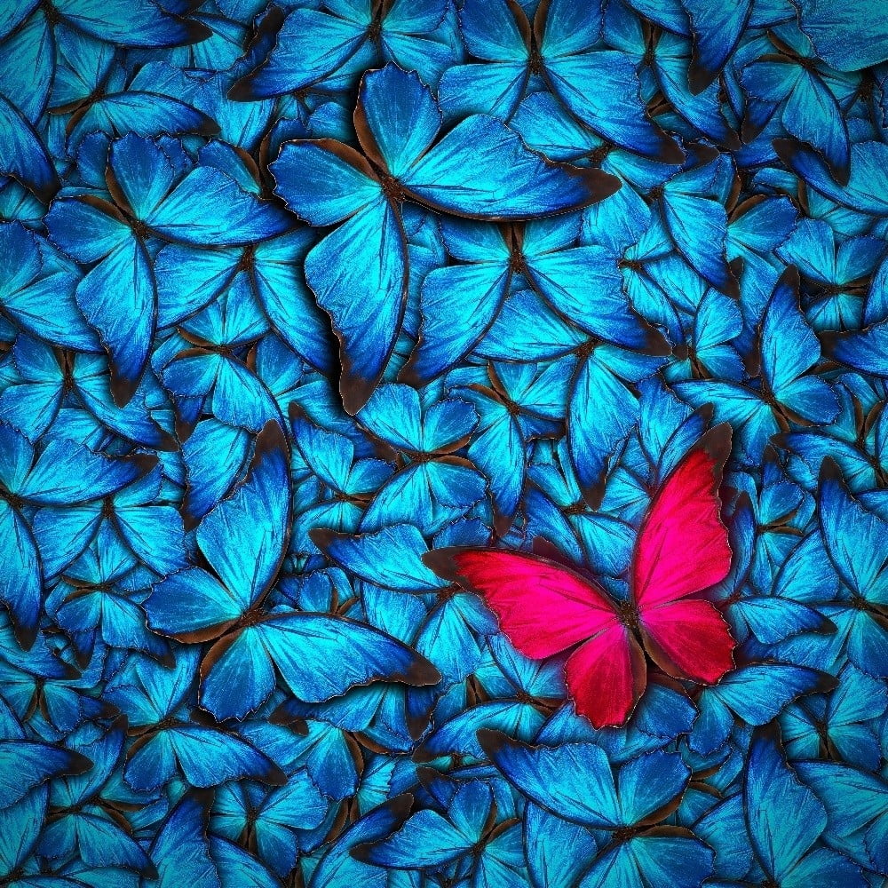 Obrázok Sklenený obraz 3D Art Azul Butterfly, 30 × 30 cm