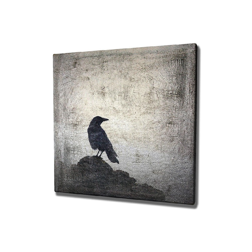 E-shop Nástenný obraz na plátne Black Bird, 45 × 45 cm