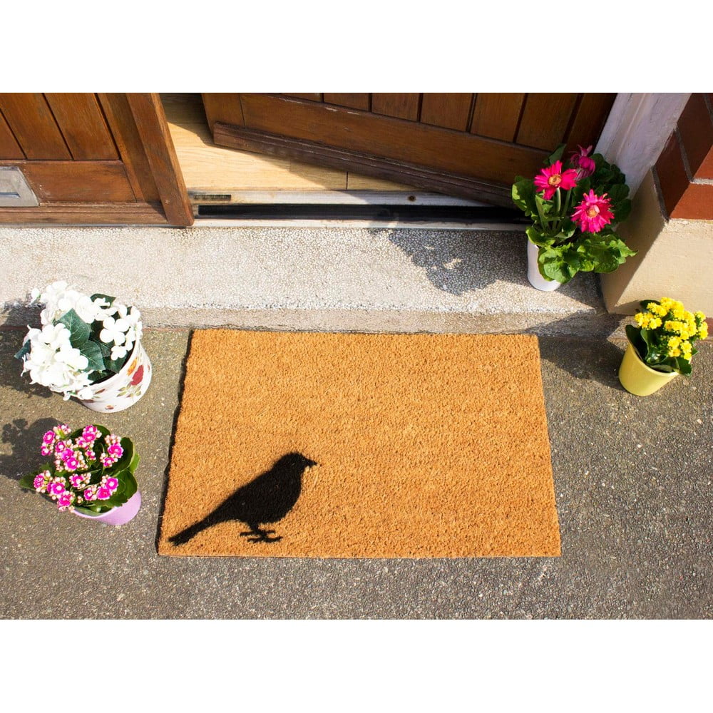 Obrázok Rohožka Artsy Doormats Bird, 40 × 60 cm