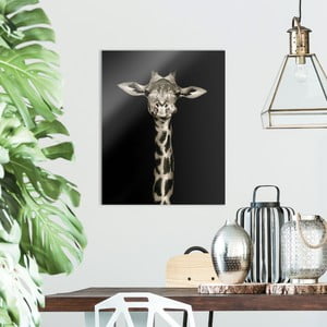 Sklenený obraz OrangeWallz Giraffe, 40 x 50 cm