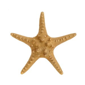 Dekorácia v tvare hviezdice v zlatej farbe InArt Sea, ⌀ 25 cm
