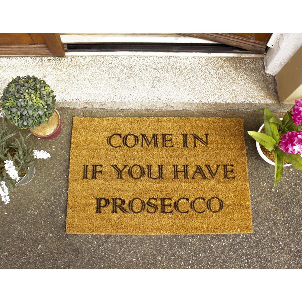 Obrázok Rohožka Artsy Doormats Prosecco, 40 × 60 cm