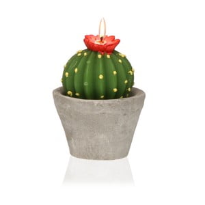 Dekoratívna sviečka v tvare kaktusu Versa Cactus Emia