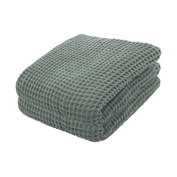 Zelený bavlnený ľahký pléd na posteľ Tiseco Home Studio, 250 x 260 cm
