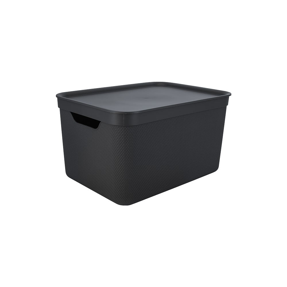 E-shop Plastový úložný box s vekom Deco - Rotho