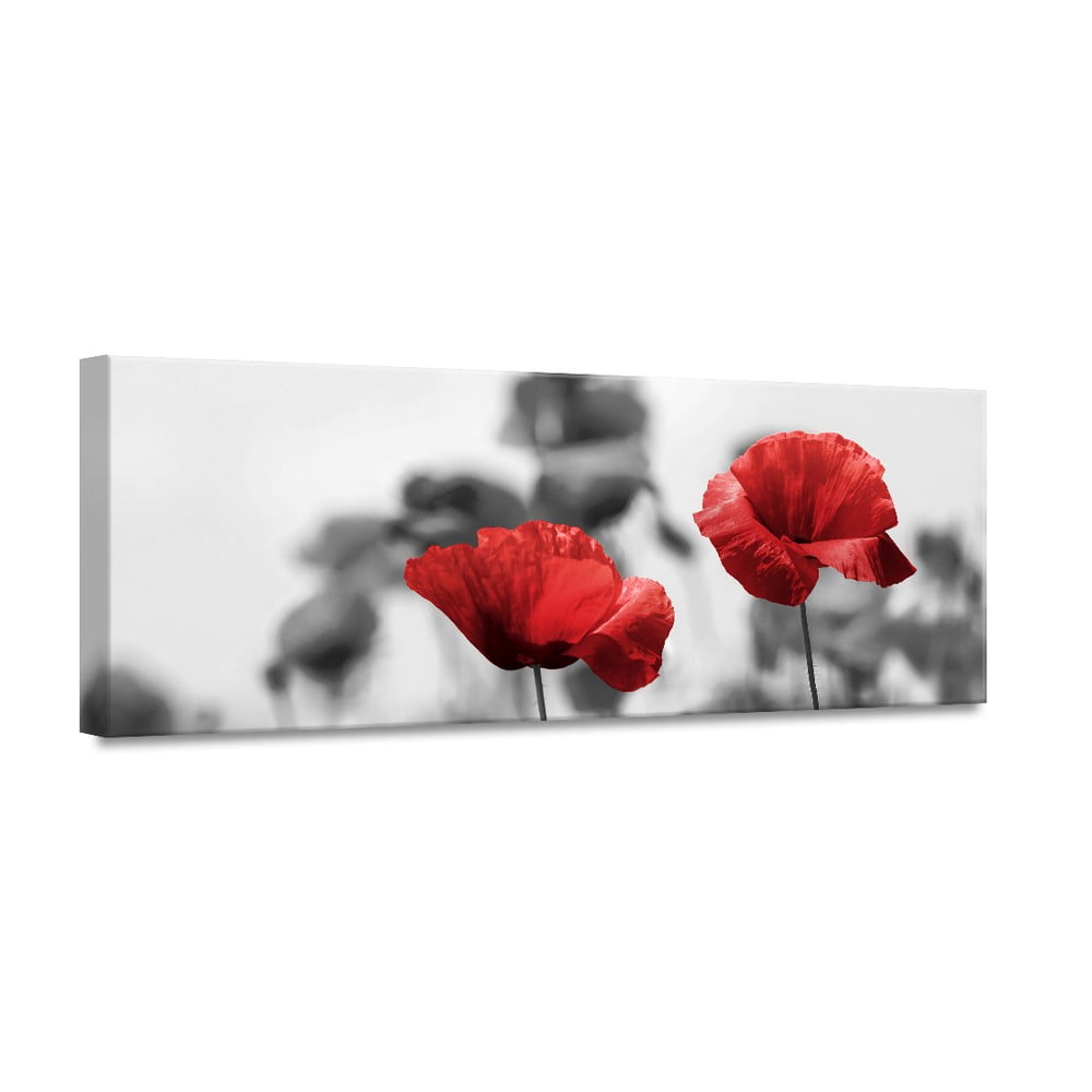 Obrázok Obraz Styler Glas Red Poppy, 50 × 125 cm