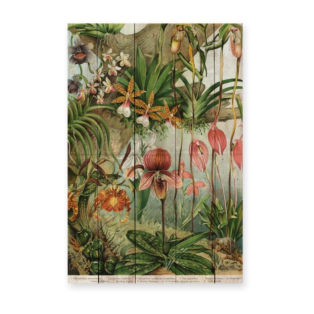 E-shop Nástenná dekorácia z borovicového dreva Madre Selva Jungle Flowers, 60 × 40 cm