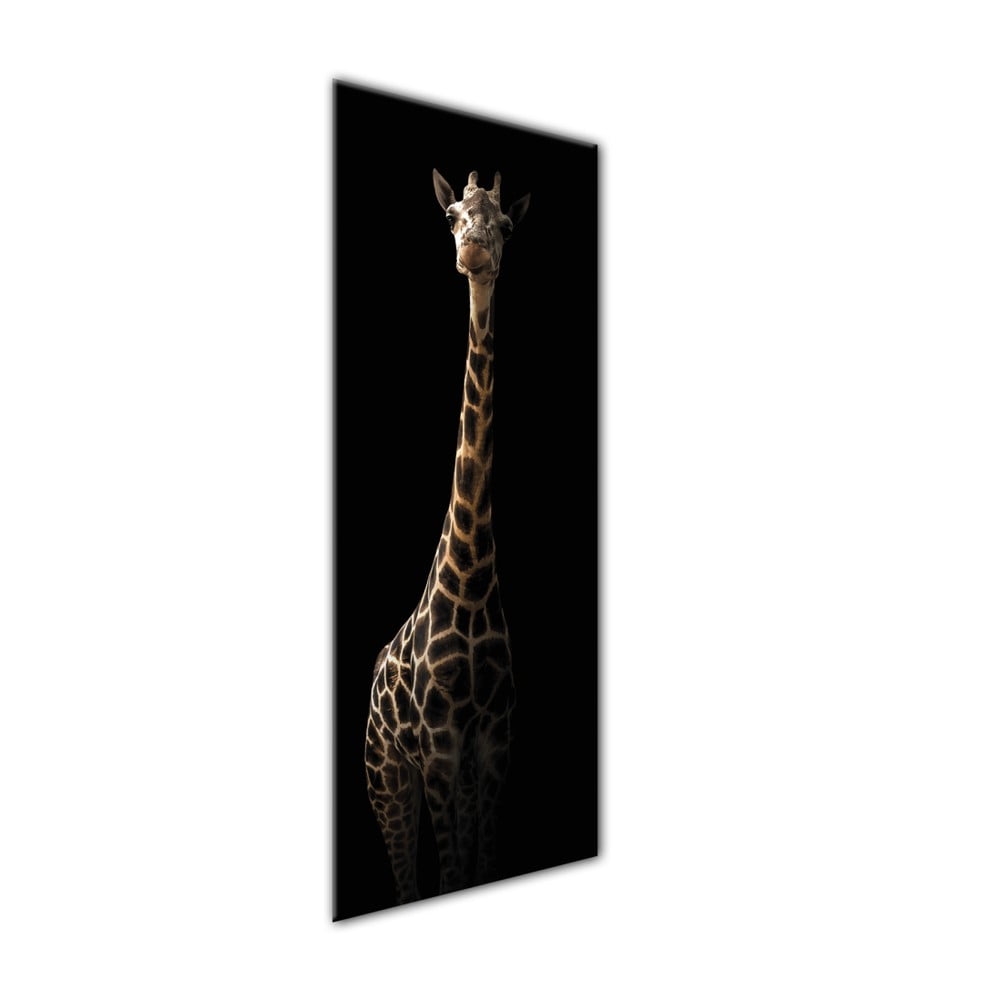 Obrázok Obraz Styler Glas Animals Gira, 50 × 125 cm