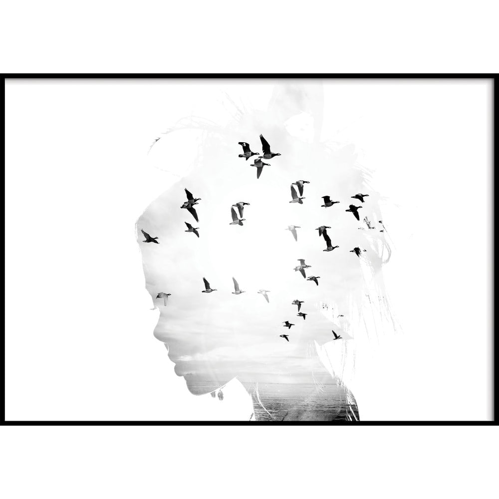 Obrázok Nástenný obraz GIRL/SILHOUETTE / BIRDS, 50 x 70 cm