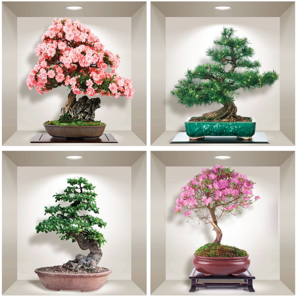 Obrázok Sada 4 3D samolepiek na stenu Ambiance Bonsai of Seasons