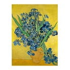 Reprodukcia obrazu Vincenta van Gogha - Irises, 60 × 45 cm
