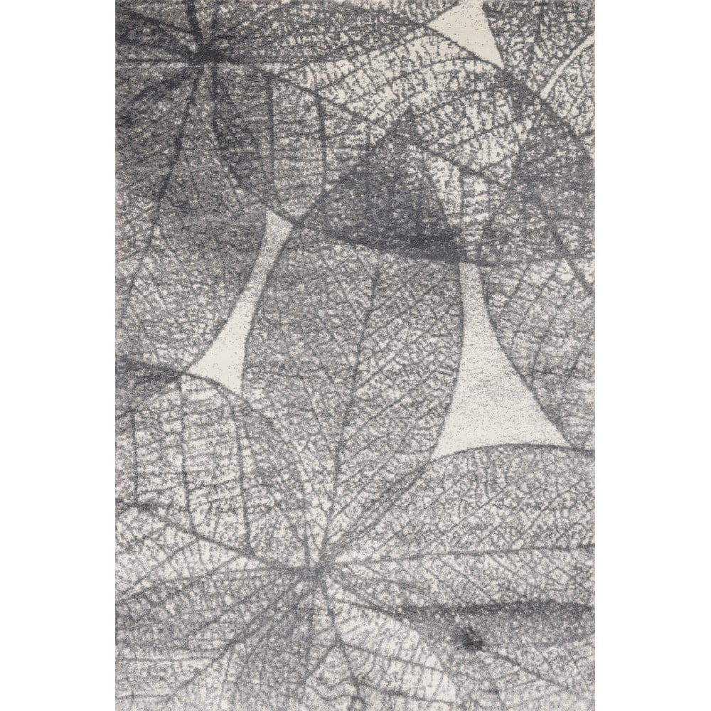 Sivý koberec 160x230 cm Lush – FD