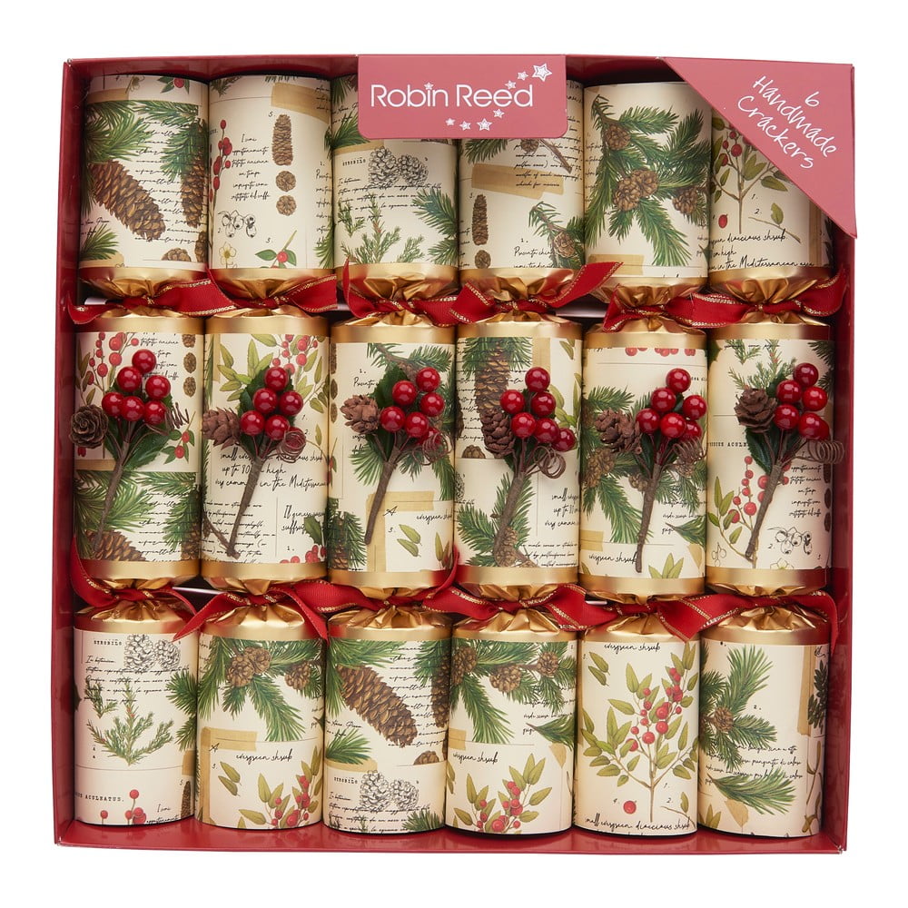 E-shop Vianočné crackery v súprave 6 ks Evergreen - Robin Reed