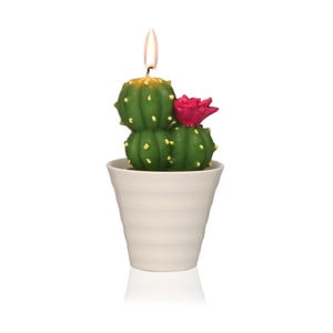 Dekoratívna sviečka v tvare kaktusu Versa Cactus Fila