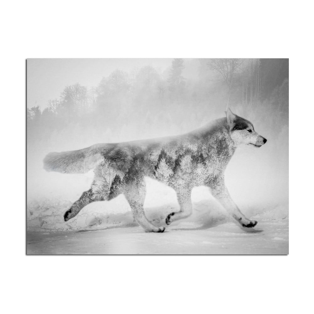 E-shop Obraz Styler Canvas Nordic Wolf, 75 × 100 cm