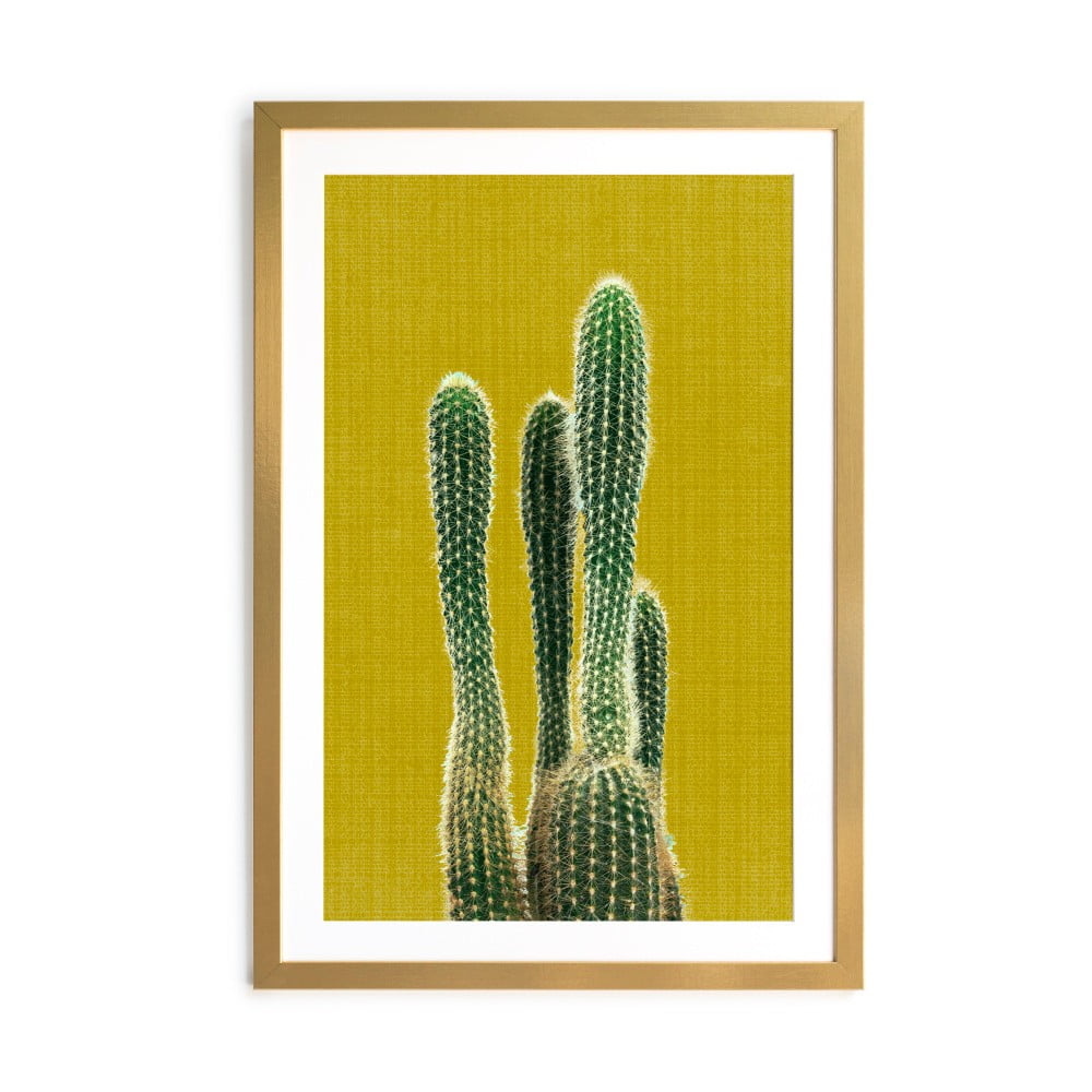 Obrázok Obraz Surdic Mustard Background Cactus, 40 × 60 cm