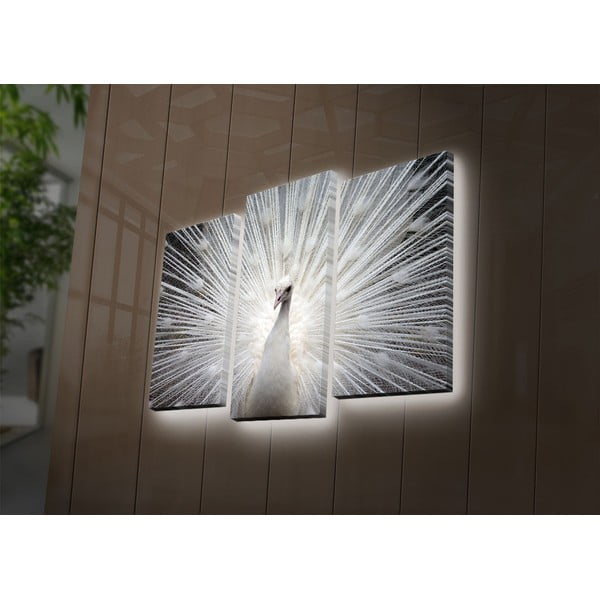 Osvetlený 3-dielny obraz Ledda Peafowl