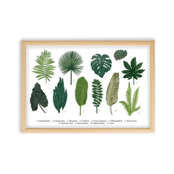 Obraz Surdic Leafes Guide, 50 × 70 cm