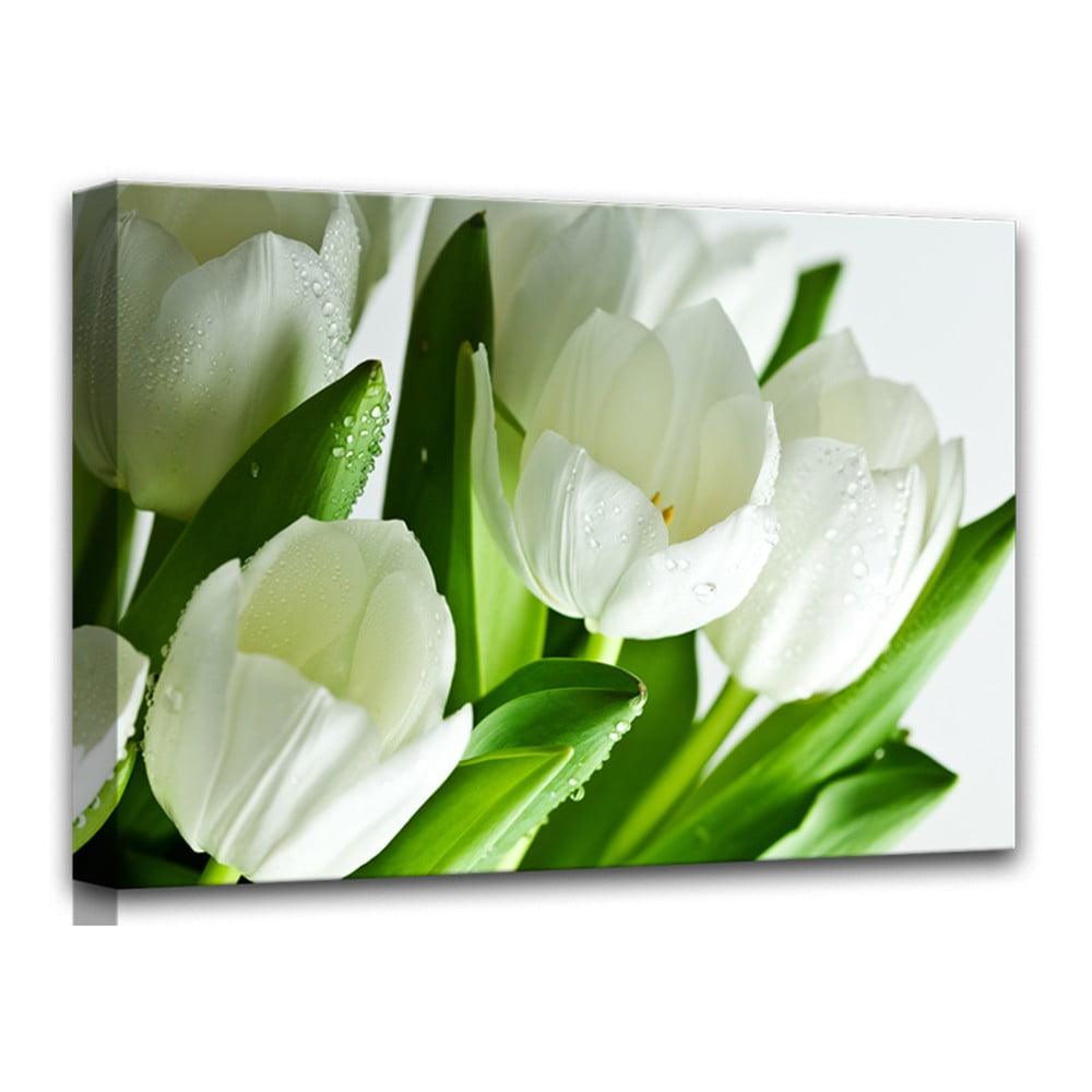 Obrázok Obraz Styler Canvas White Tulips, 60 × 80 cm