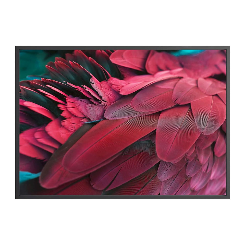 Obrázok Plagát DecoKing Feathers Red, 100 x 70 cm