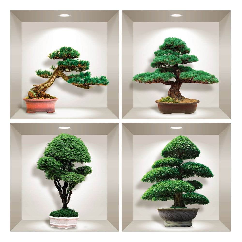 Obrázok Sada 4 3D samolepiek na stenu Ambiance Bonsai Design