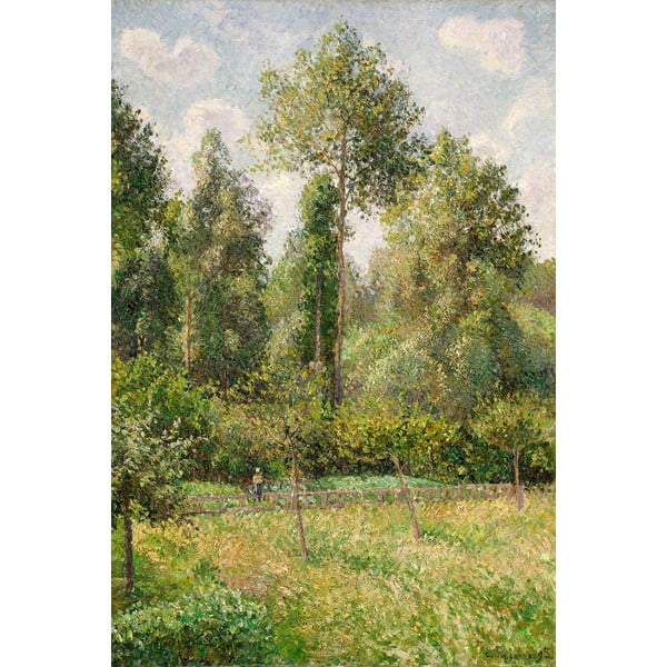 Reprodukcia obrazu Camille Pissarro - Poplars Éragny, 60 × 80 cm