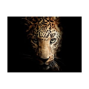 Obraz Styler Leopard, 100 x 75 cm