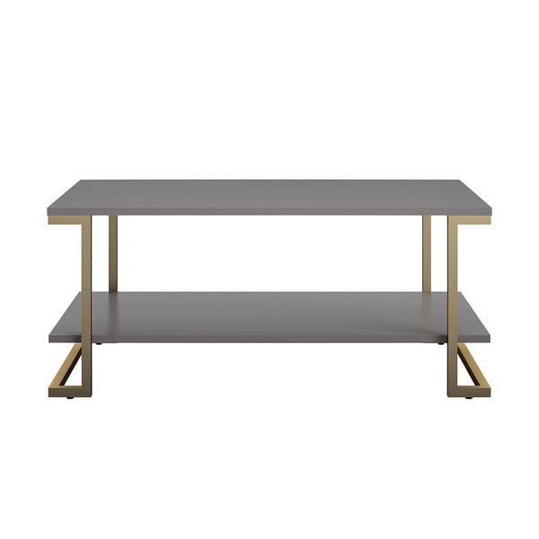Konferenčný stolík v sivo-zlatej farbe CosmoLiving by Cosmopolitan Camila, 106 x 45 cm