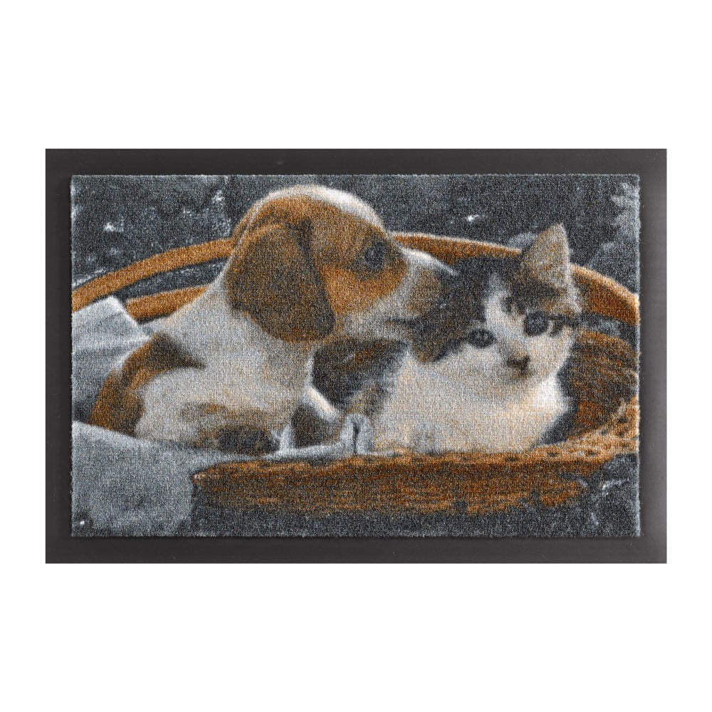 E-shop Rohožka Hanse Home Animals Dog and Cat, 40 x 60 cm