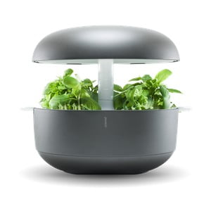 Domáca inteligentná sivá záhradka Plantui 6 Smart Garden Grey