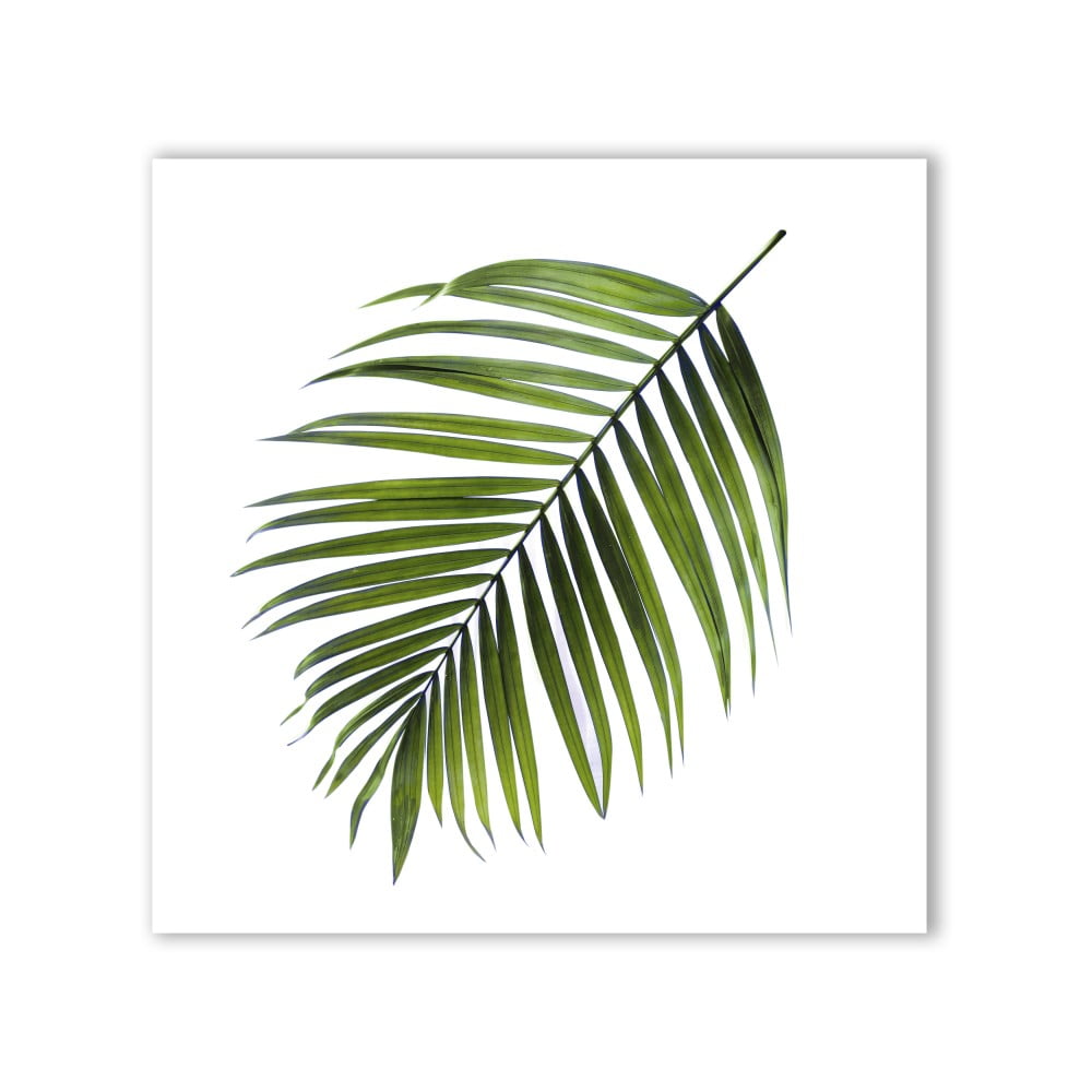 E-shop Obraz Styler Canvas Greenery Black Palm, 32 x 32 cm