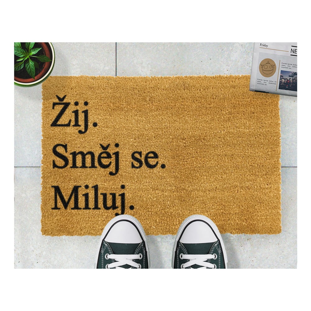 Obrázok Rohožka Artsy Doormats Žij a miluj, 40 x 60 cm