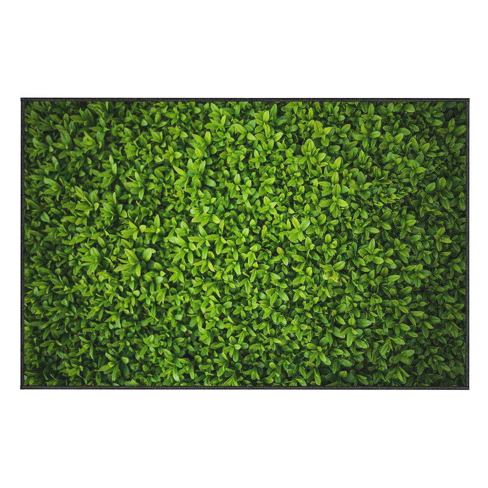E-shop Zelený koberec Oyo home Ivy, 100 x 140 cm