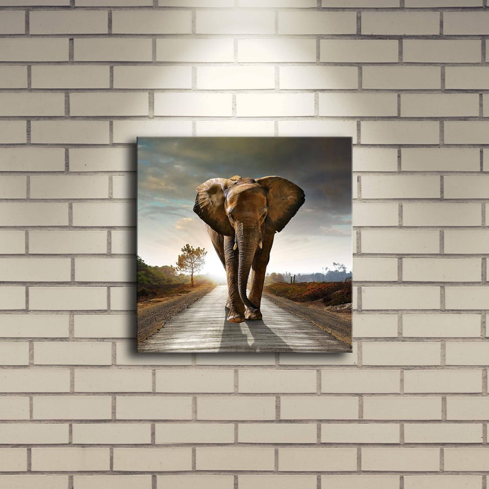 Obrázok Podsvietený obraz Elephant, 28 × 28 cm