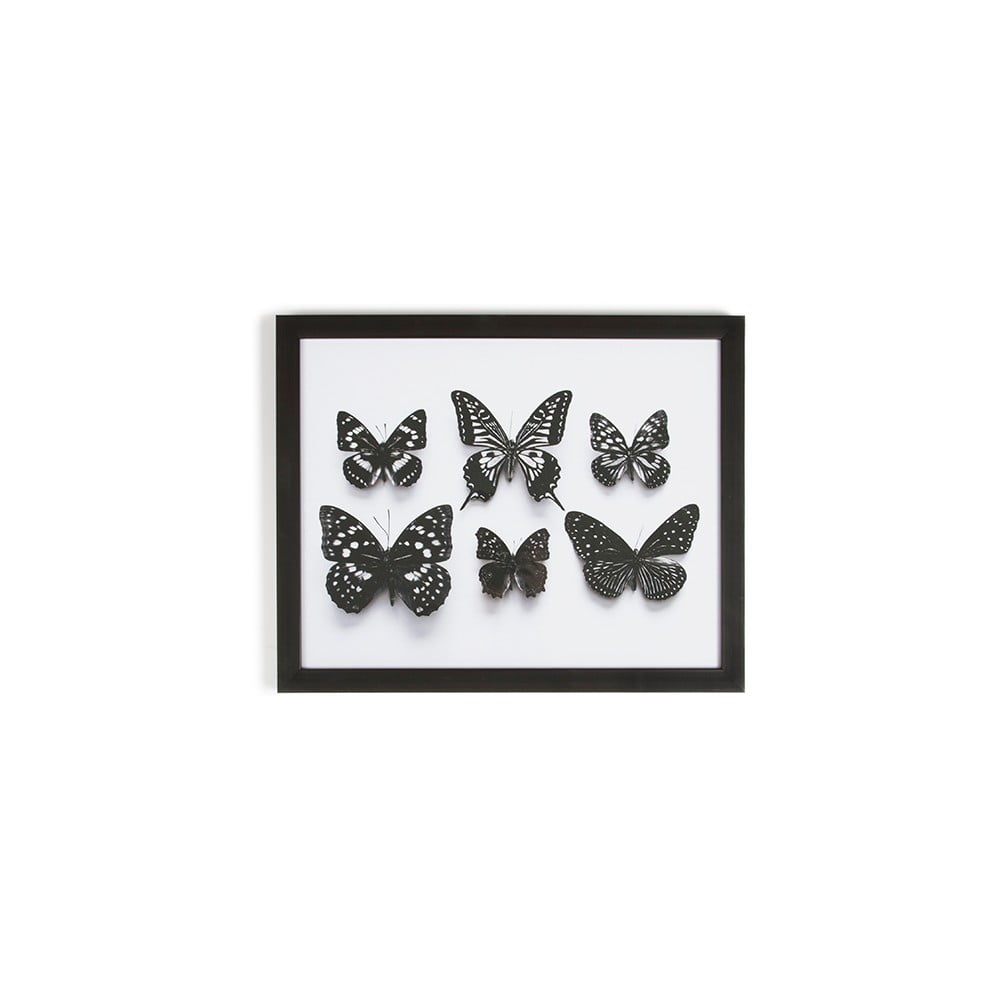E-shop Obraz v ráme Graham & Brown Botanical Butterfly, 50 × 40 cm