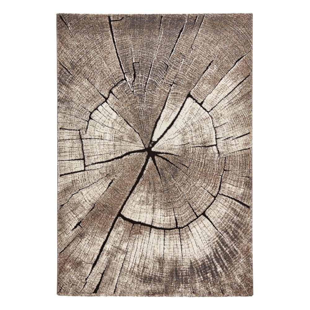 E-shop Béžový koberec 230x160 cm Woodland - Think Rugs