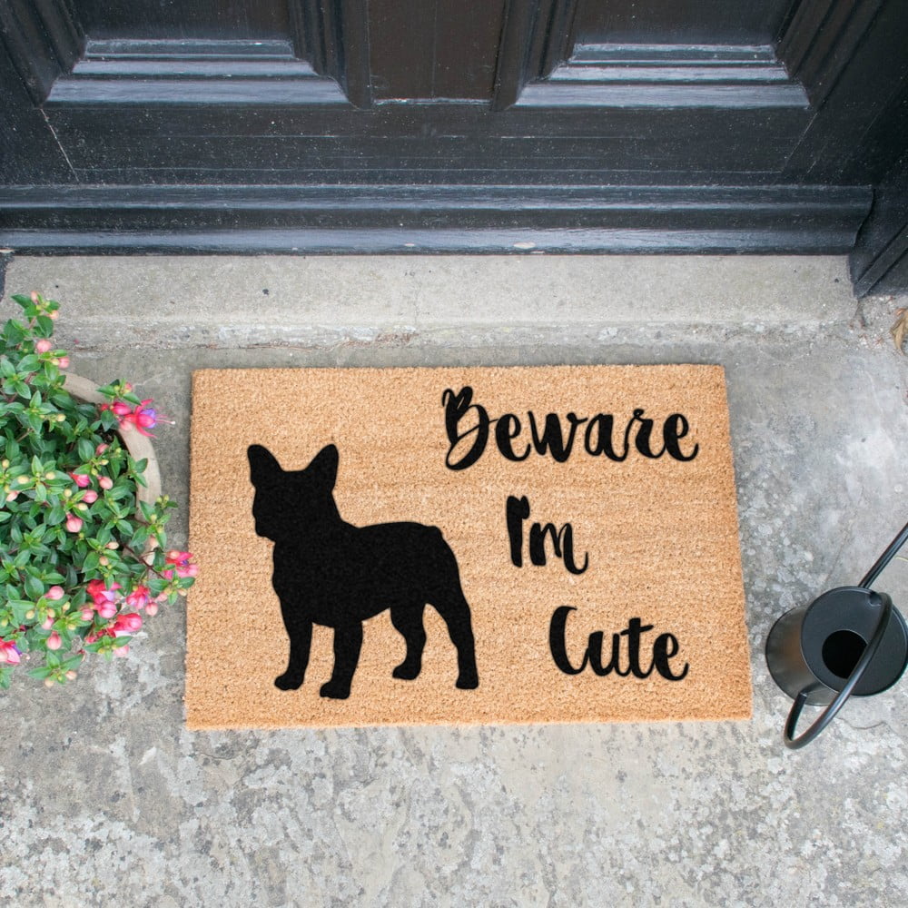 Obrázok Rohožka Artsy Doormats Cute French, 40 × 60 cm