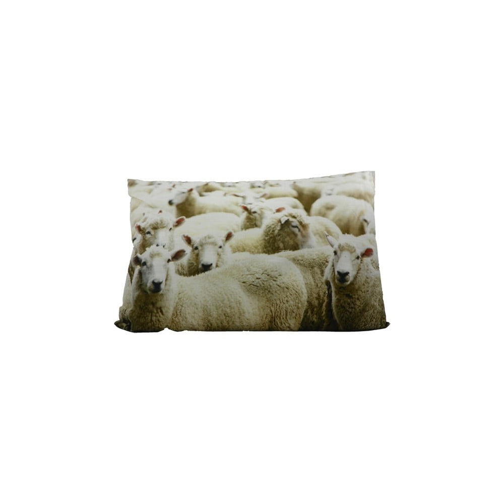 Vankúš Sheep 60x40 cm
